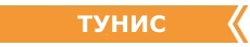 РАННЕЕ БРОНИРОВАНИЕ ТУРОВ В ТУНИС